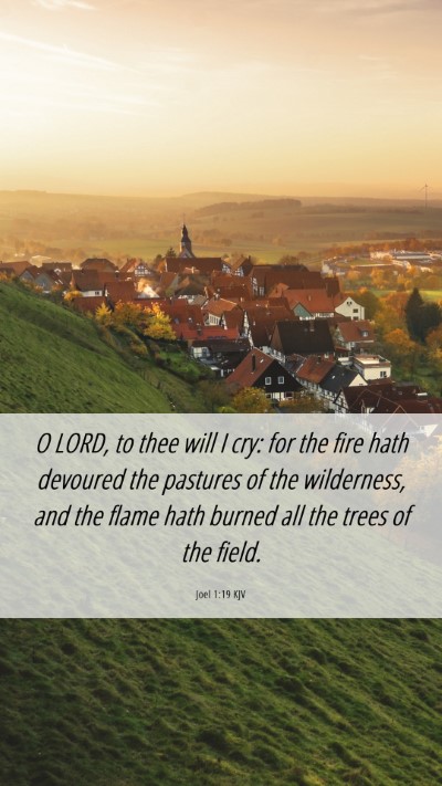 Picture 06 - Joel 1:19 KJV Mobile Phone Wallpaper - O LORD, to thee will I cry: for the fire hath - Mobile Bible Verse Wallpaper