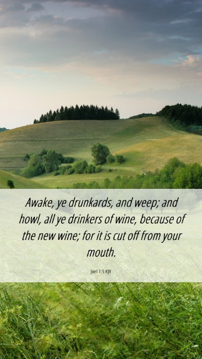 Picture 06 - Joel 1:5 KJV Mobile Phone Wallpaper - Awake, ye drunkards, and weep; and howl, all ye - Mobile Bible Verse Wallpaper