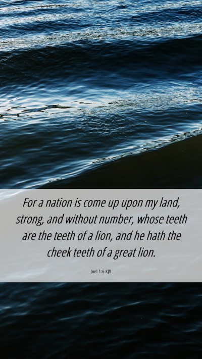 Picture 06 - Joel 1:6 KJV Mobile Phone Wallpaper - For a nation is come up upon my land, strong, and - Mobile Bible Verse Wallpaper
