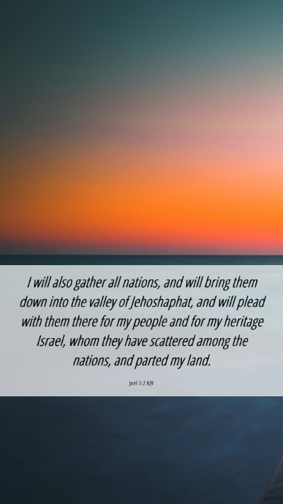 Picture 06 - Joel 3:2 KJV Mobile Phone Wallpaper - I will also gather all nations, and will bring - Mobile Bible Verse Wallpaper