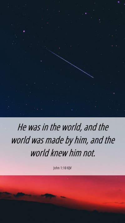 Picture 06 - John 1:10 KJV Mobile Phone Wallpaper - He was in the world, and the world was made by - Mobile Bible Verse Wallpaper