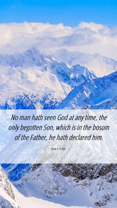 Picture 06 - John 1:18 KJV Mobile Phone Wallpaper - No man hath seen God at any time, the only - Mobile Bible Verse Wallpaper
