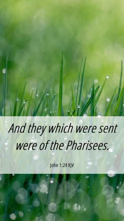 Picture 06 - John 1:24 KJV Mobile Phone Wallpaper - And they which were sent were of the - Mobile Bible Verse Wallpaper