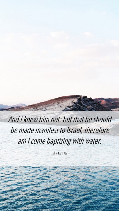 Picture 06 - John 1:31 KJV Mobile Phone Wallpaper - And I knew him not: but that he should be made - Mobile Bible Verse Wallpaper