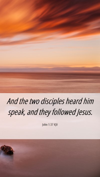 Picture 06 - John 1:37 KJV Mobile Phone Wallpaper - And the two disciples heard him speak, and they - Mobile Bible Verse Wallpaper