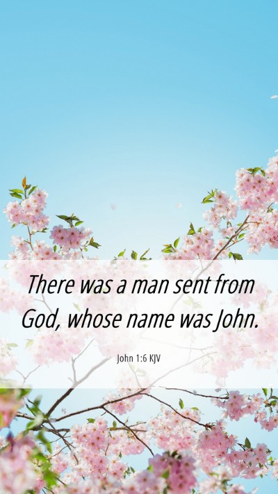 Picture 06 - John 1:6 KJV Mobile Phone Wallpaper - There was a man sent from God, whose name was - Mobile Bible Verse Wallpaper