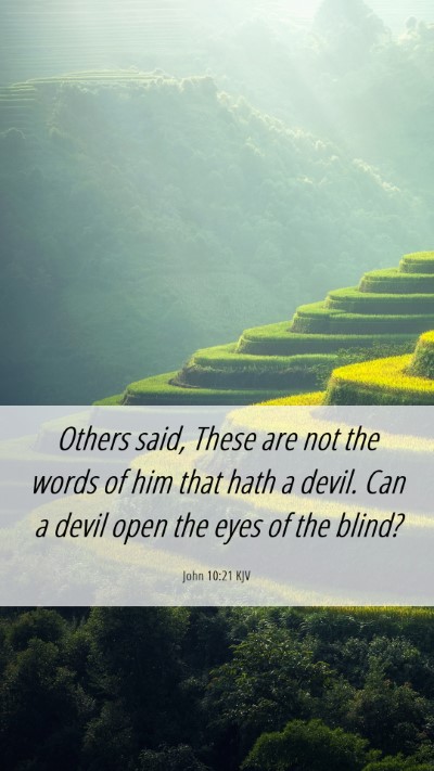 Picture 06 - John 10:21 KJV Mobile Phone Wallpaper - Others said, These are not the words of him that - Mobile Bible Verse Wallpaper