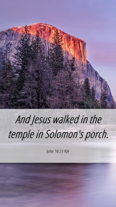 Picture 06 - John 10:23 KJV Mobile Phone Wallpaper - And Jesus walked in the temple in Solomon's - Mobile Bible Verse Wallpaper
