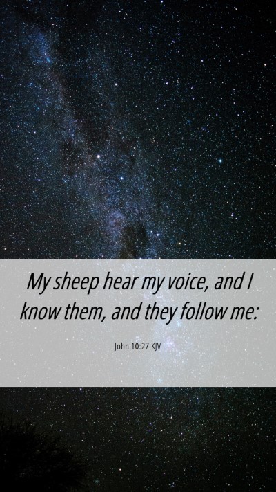 Picture 06 - John 10:27 KJV Mobile Phone Wallpaper - My sheep hear my voice, and I know them, and they - Mobile Bible Verse Wallpaper