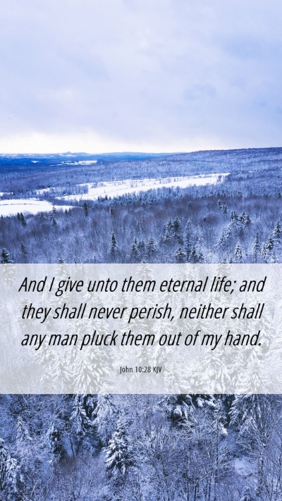 Picture 06 - John 10:28 KJV Mobile Phone Wallpaper - And I give unto them eternal life; and they shall - Mobile Bible Verse Wallpaper
