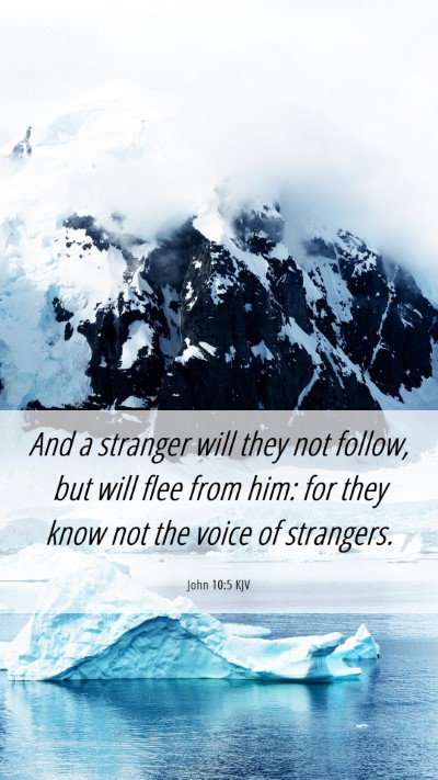Picture 06 - John 10:5 KJV Mobile Phone Wallpaper - And a stranger will they not follow, but will - Mobile Bible Verse Wallpaper