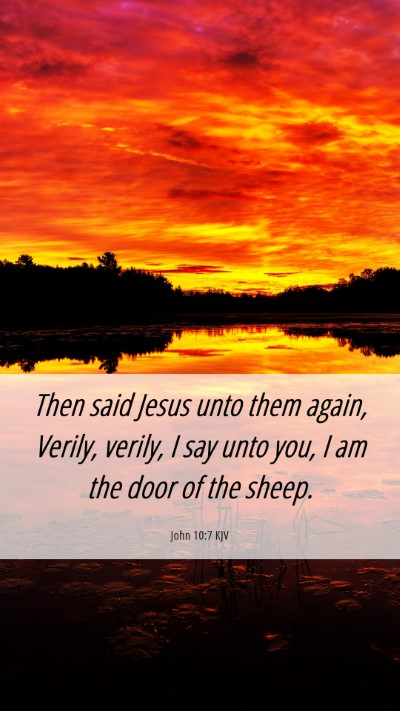 Picture 06 - John 10:7 KJV Mobile Phone Wallpaper - Then said Jesus unto them again, Verily, verily, - Mobile Bible Verse Wallpaper