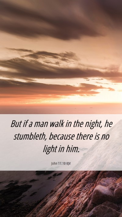 Picture 06 - John 11:10 KJV Mobile Phone Wallpaper - But if a man walk in the night, he stumbleth, - Mobile Bible Verse Wallpaper