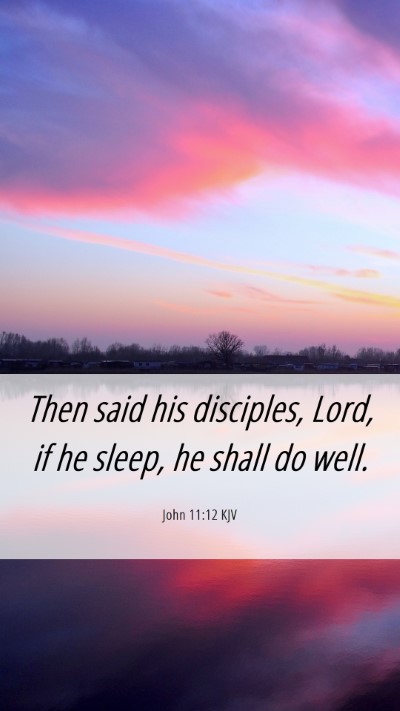 Picture 06 - John 11:12 KJV Mobile Phone Wallpaper - Then said his disciples, Lord, if he sleep, he - Mobile Bible Verse Wallpaper