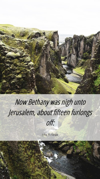 Picture 06 - John 11:18 KJV Mobile Phone Wallpaper - Now Bethany was nigh unto Jerusalem, about - Mobile Bible Verse Wallpaper