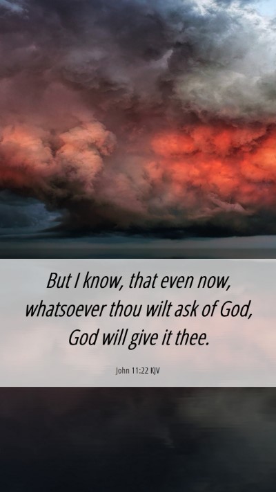 Picture 06 - John 11:22 KJV Mobile Phone Wallpaper - But I know, that even now, whatsoever thou wilt - Mobile Bible Verse Wallpaper