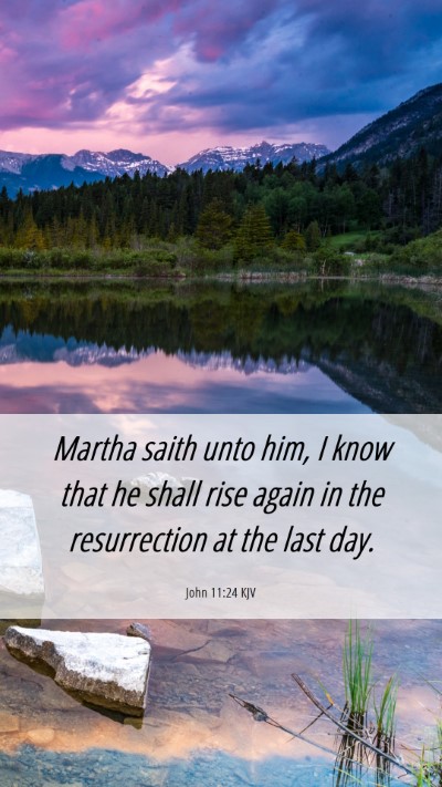 Picture 06 - John 11:24 KJV Mobile Phone Wallpaper - Martha saith unto him, I know that he shall rise - Mobile Bible Verse Wallpaper