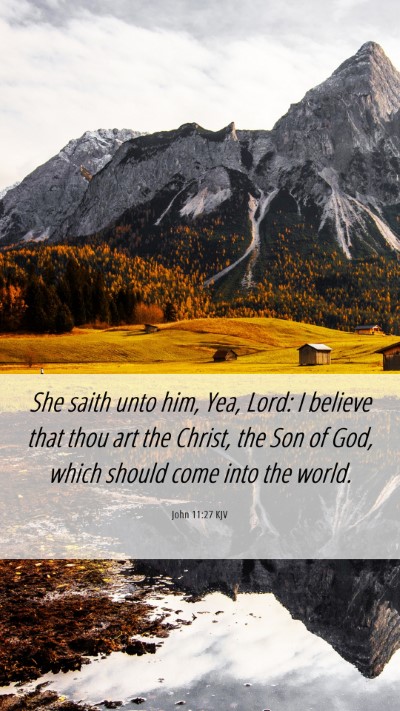 Picture 06 - John 11:27 KJV Mobile Phone Wallpaper - She saith unto him, Yea, Lord: I believe that - Mobile Bible Verse Wallpaper
