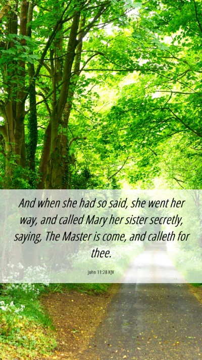 Picture 06 - John 11:28 KJV Mobile Phone Wallpaper - And when she had so said, she went her way, and - Mobile Bible Verse Wallpaper
