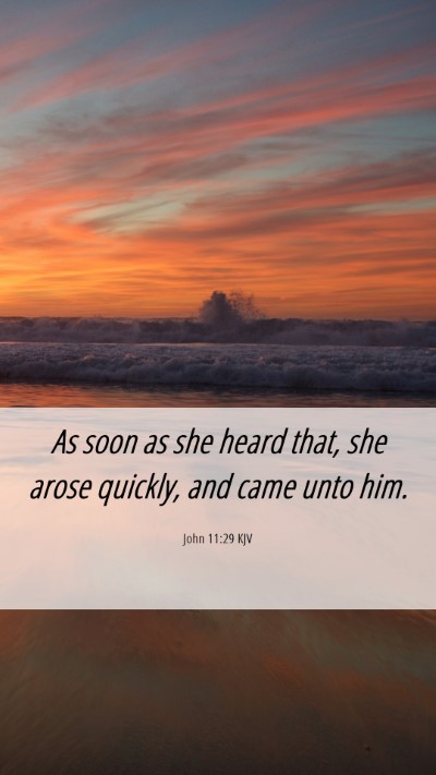 Picture 06 - John 11:29 KJV Mobile Phone Wallpaper - As soon as she heard that, she arose quickly, and - Mobile Bible Verse Wallpaper