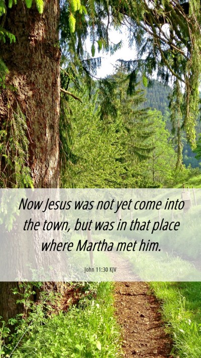 Picture 06 - John 11:30 KJV Mobile Phone Wallpaper - Now Jesus was not yet come into the town, but was - Mobile Bible Verse Wallpaper
