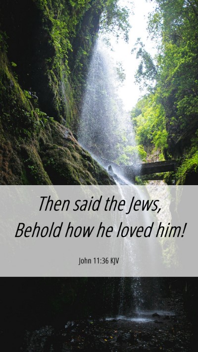 Picture 06 - John 11:36 KJV Mobile Phone Wallpaper - Then said the Jews, Behold how he loved - Mobile Bible Verse Wallpaper