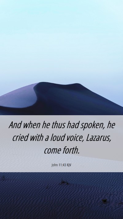 Picture 06 - John 11:43 KJV Mobile Phone Wallpaper - And when he thus had spoken, he cried with a loud - Mobile Bible Verse Wallpaper