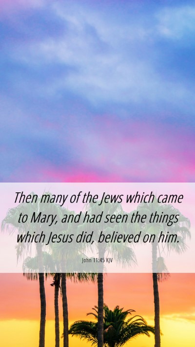 Picture 06 - John 11:45 KJV Mobile Phone Wallpaper - Then many of the Jews which came to Mary, and had - Mobile Bible Verse Wallpaper