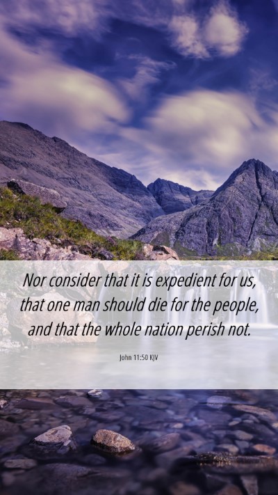 Picture 06 - John 11:50 KJV Mobile Phone Wallpaper - Nor consider that it is expedient for us, that - Mobile Bible Verse Wallpaper