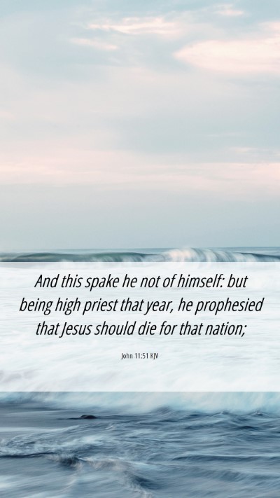 Picture 06 - John 11:51 KJV Mobile Phone Wallpaper - And this spake he not of himself: but being high - Mobile Bible Verse Wallpaper