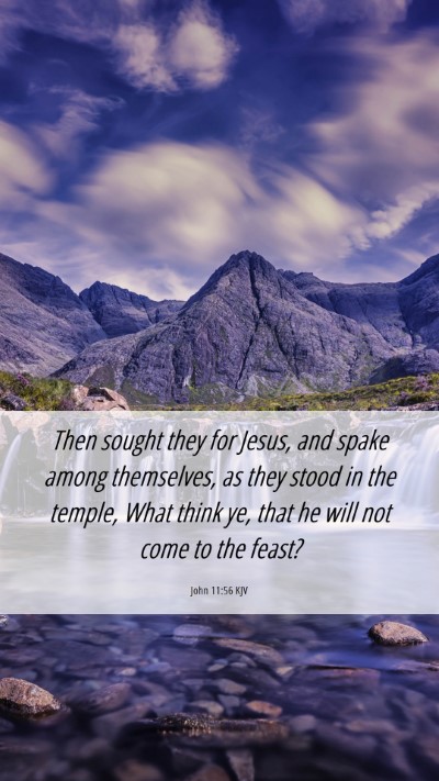 Picture 06 - John 11:56 KJV Mobile Phone Wallpaper - Then sought they for Jesus, and spake among - Mobile Bible Verse Wallpaper