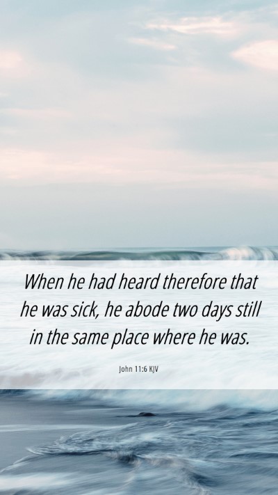 Picture 06 - John 11:6 KJV Mobile Phone Wallpaper - When he had heard therefore that he was sick, he - Mobile Bible Verse Wallpaper