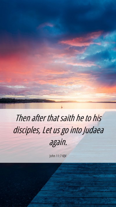 Picture 06 - John 11:7 KJV Mobile Phone Wallpaper - Then after that saith he to his disciples, Let us - Mobile Bible Verse Wallpaper