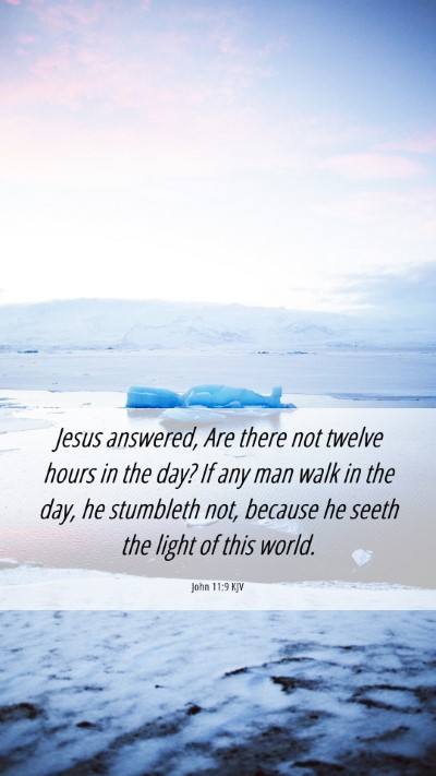 Picture 06 - John 11:9 KJV Mobile Phone Wallpaper - Jesus answered, Are there not twelve hours in the - Mobile Bible Verse Wallpaper