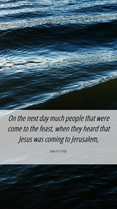 Picture 06 - John 12:12 KJV Mobile Phone Wallpaper - On the next day much people that were come to the - Mobile Bible Verse Wallpaper