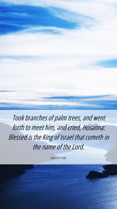 Picture 06 - John 12:13 KJV Mobile Phone Wallpaper - Took branches of palm trees, and went forth to - Mobile Bible Verse Wallpaper