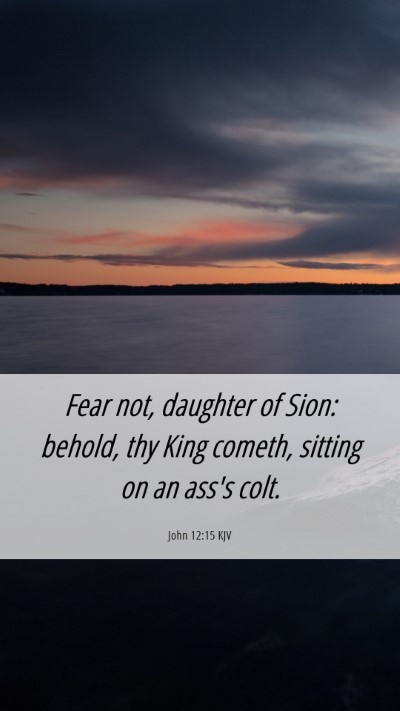 Picture 06 - John 12:15 KJV Mobile Phone Wallpaper - Fear not, daughter of Sion: behold, thy King - Mobile Bible Verse Wallpaper