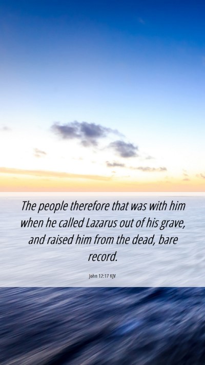 Picture 06 - John 12:17 KJV Mobile Phone Wallpaper - The people therefore that was with him when he - Mobile Bible Verse Wallpaper