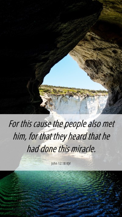 Picture 06 - John 12:18 KJV Mobile Phone Wallpaper - For this cause the people also met him, for that - Mobile Bible Verse Wallpaper