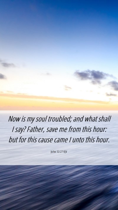 Picture 06 - John 12:27 KJV Mobile Phone Wallpaper - Now is my soul troubled; and what shall I say? - Mobile Bible Verse Wallpaper
