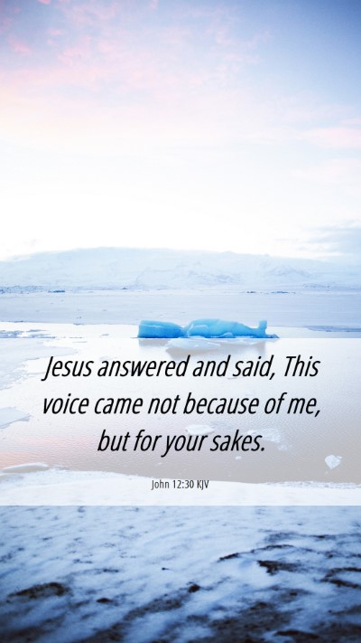 Picture 06 - John 12:30 KJV Mobile Phone Wallpaper - Jesus answered and said, This voice came not - Mobile Bible Verse Wallpaper
