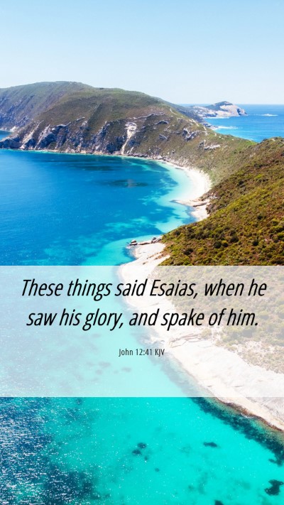 Picture 06 - John 12:41 KJV Mobile Phone Wallpaper - These things said Esaias, when he saw his glory, - Mobile Bible Verse Wallpaper
