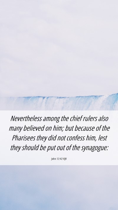 Picture 06 - John 12:42 KJV Mobile Phone Wallpaper - Nevertheless among the chief rulers also many - Mobile Bible Verse Wallpaper