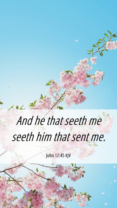 Picture 06 - John 12:45 KJV Mobile Phone Wallpaper - And he that seeth me seeth him that sent - Mobile Bible Verse Wallpaper