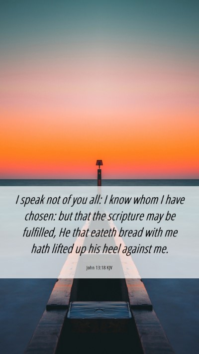 Picture 06 - John 13:18 KJV Mobile Phone Wallpaper - I speak not of you all: I know whom I have - Mobile Bible Verse Wallpaper
