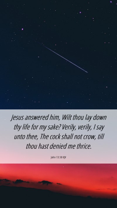 Picture 06 - John 13:38 KJV Mobile Phone Wallpaper - Jesus answered him, Wilt thou lay down thy life - Mobile Bible Verse Wallpaper