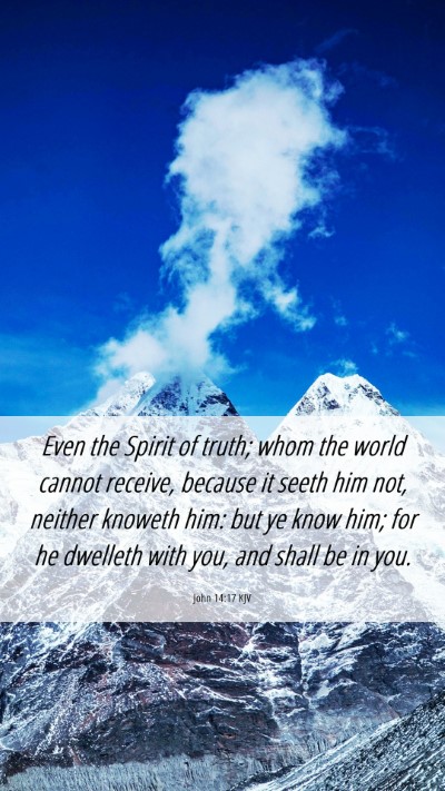 Picture 06 - John 14:17 KJV Mobile Phone Wallpaper - Even the Spirit of truth; whom the world cannot - Mobile Bible Verse Wallpaper
