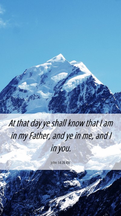 Picture 06 - John 14:20 KJV Mobile Phone Wallpaper - At that day ye shall know that I am in my Father, - Mobile Bible Verse Wallpaper