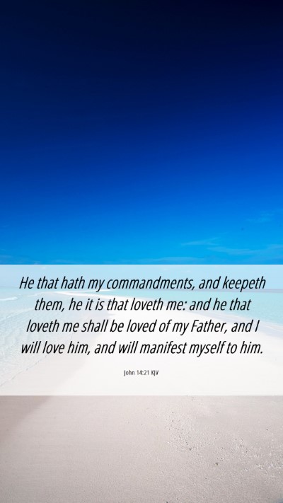 Picture 06 - John 14:21 KJV Mobile Phone Wallpaper - He that hath my commandments, and keepeth them, - Mobile Bible Verse Wallpaper
