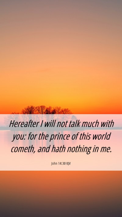Picture 06 - John 14:30 KJV Mobile Phone Wallpaper - Hereafter I will not talk much with you: for the - Mobile Bible Verse Wallpaper